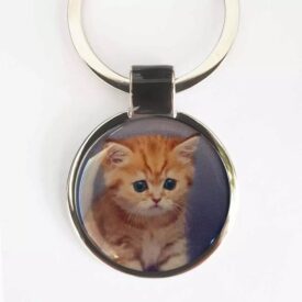 Süße Geschenke für Katzenliebhaber mit Gravur